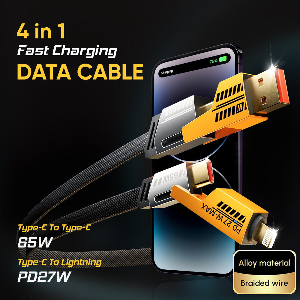 iCruze 4 in 1 Fast Charge Data cable